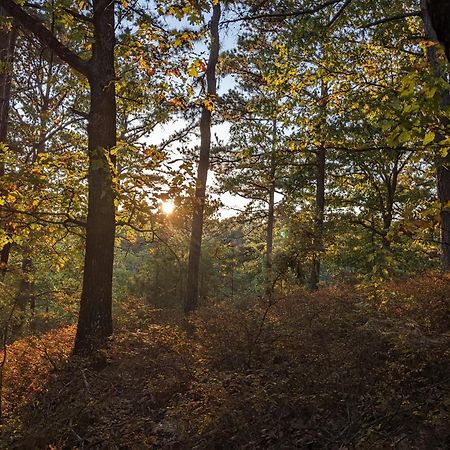 Loblolly Pines #3 Adventure Aframe Villa Eureka Springs Bagian luar foto