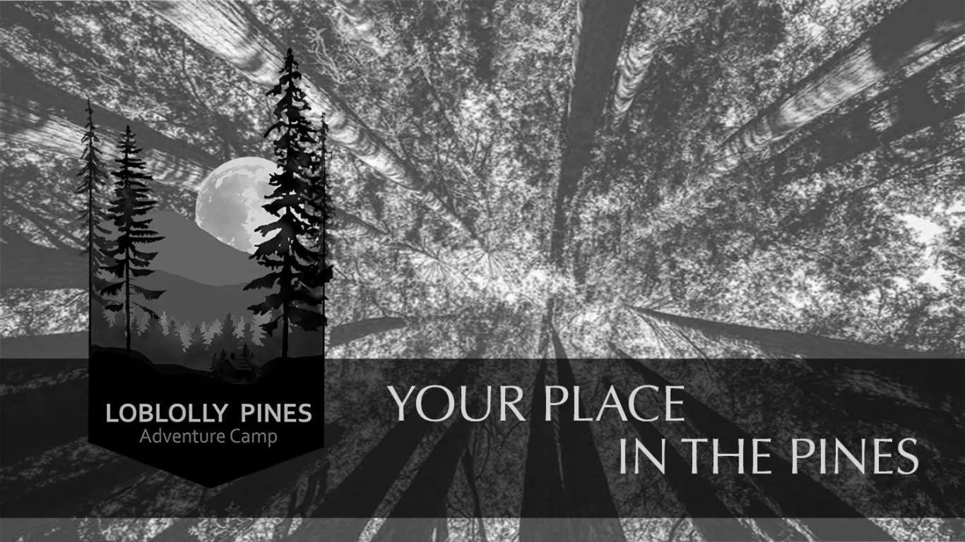 Loblolly Pines #3 Adventure Aframe Villa Eureka Springs Bagian luar foto